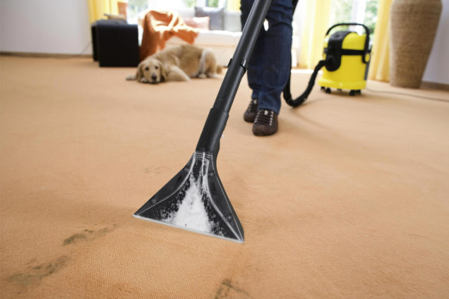 Carpet Scotch Guarding Cheltenham