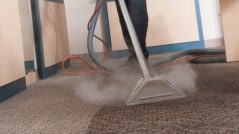 Carpet Steam Cleaning Brookfield