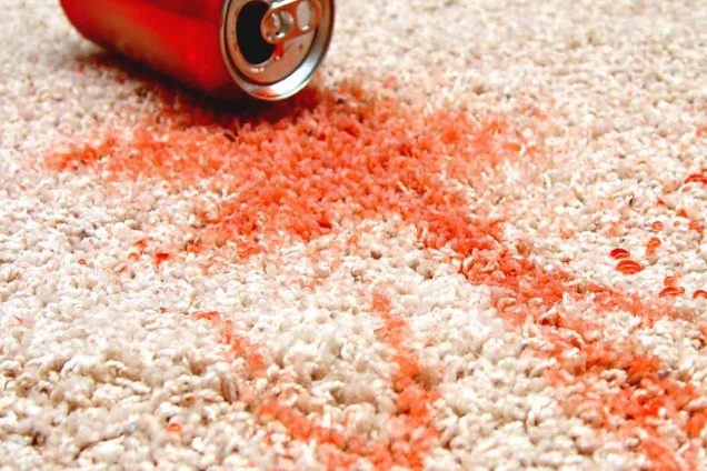 Carpet Scotch Guarding Castlemaine